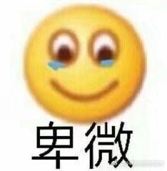你（我）卑微吗表情包3 