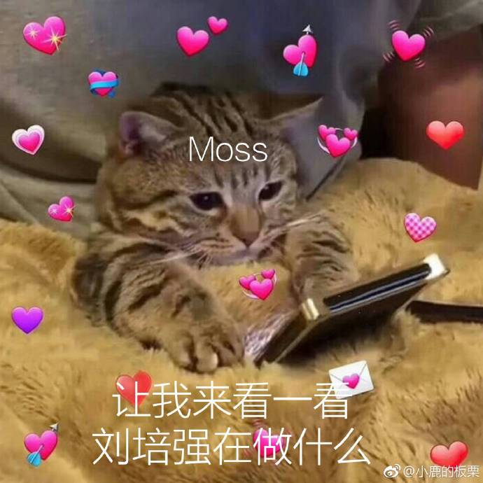 流浪地球电影表情包8 