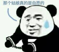 流浪地球电影表情包14