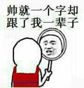 照镜子表情包2 