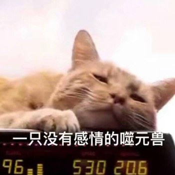 惊奇队长噬元兽表情包1-