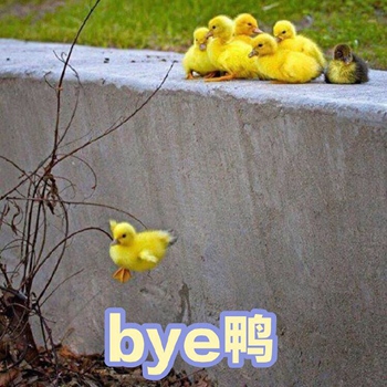 可爱小鸭鸭表情包1-