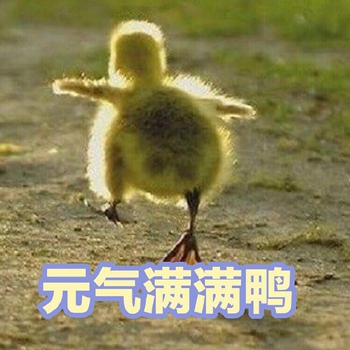 可爱小鸭鸭表情包2-