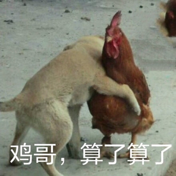 狗哥猫哥鸡哥算了算了表情包2-