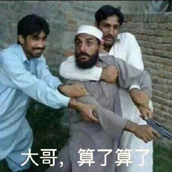狗哥猫哥鸡哥算了算了表情包5-