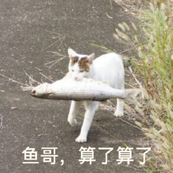狗哥猫哥鸡哥算了算了表情包6-