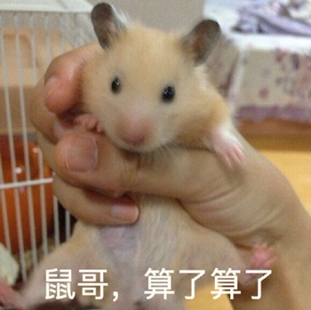 狗哥猫哥鸡哥算了算了表情包8-