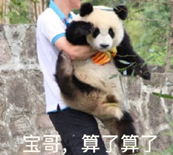 狗哥猫哥鸡哥算了算了表情包9-