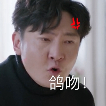 电视剧都挺好表情包23-
