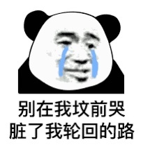 熊猫头个性签名表情包6 -