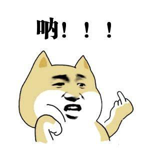熊猫头竖中指表情包-12-