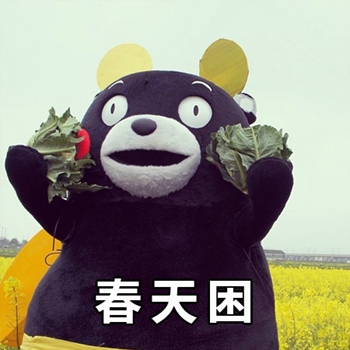 熊本熊春困夏困一直困表情包-8 -