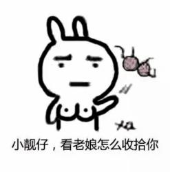 女流氓专用污表情包-3 