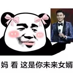 妈这是你女婿熊猫头表情包-11-