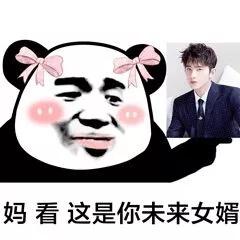 妈这是你女婿熊猫头表情包-10-