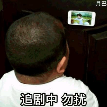 印尼小胖动图-追剧中 勿扰-印尼小胖,gif,动图,小胖表情包