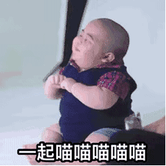 印尼小胖动图-一起喵喵喵喵瞄-印尼小胖,gif,动图,小胖表情包