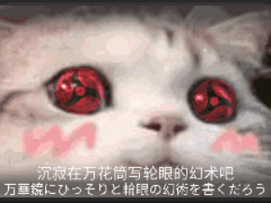 猫咪写轮眼特效：沉寂在万花筒写轮眼的幻术吧动图gif-猫,gif,动图,写轮眼,万花筒,特效