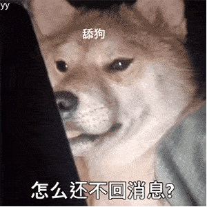 舔狗看手机：怎么还不回消息？