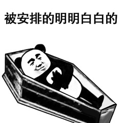 被安排的明明白白的-