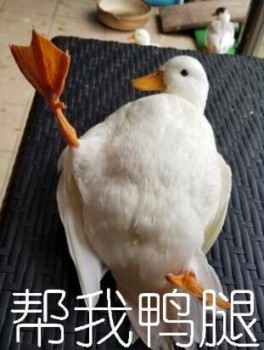 帮我鸭腿-