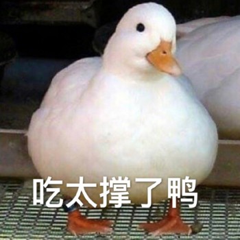 吃太撑了鸭-