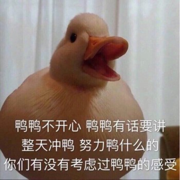 鸭鸭不开心，鸭鸭有话要讲-