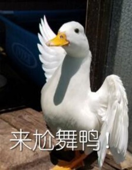 来尬舞鸭-