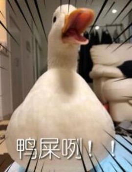 鸭屎咧-