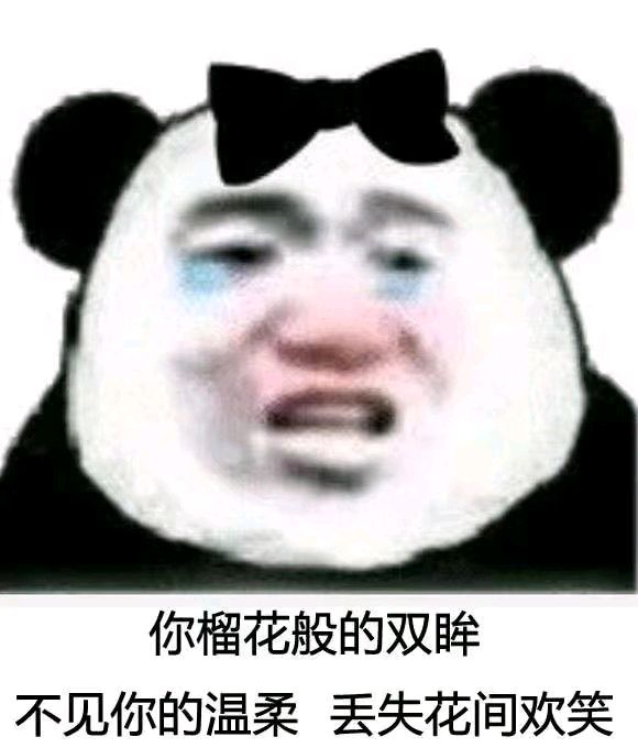 熊猫与爱情-你榴花般的双眸-
