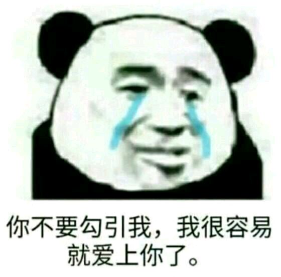 熊猫与爱情-你不要勾引我，我很容易就爱上你-