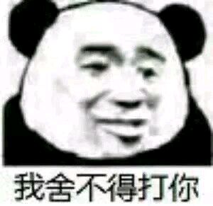 熊猫与爱情-我舍不得打你