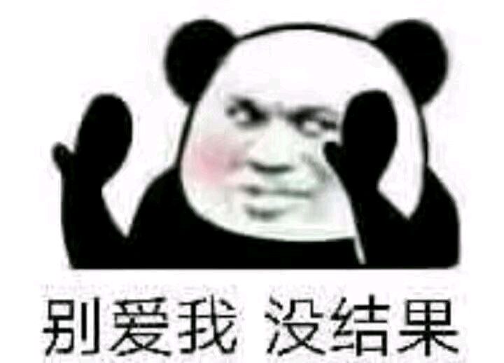 熊猫与爱情-别爱我 没结果-