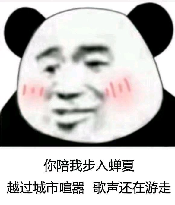 熊猫与爱情-你陪我步入蝉夏 越过城市喧嚣 歌声还在游走-