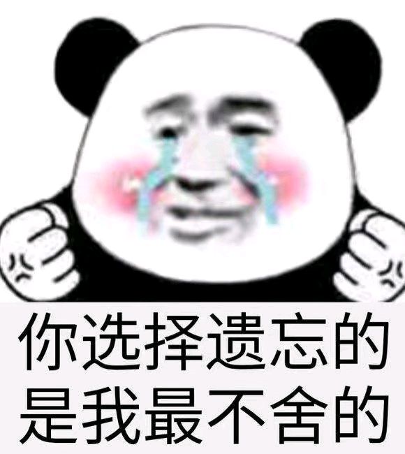 熊猫与爱情-你选择遗忘的 是我最不舍的