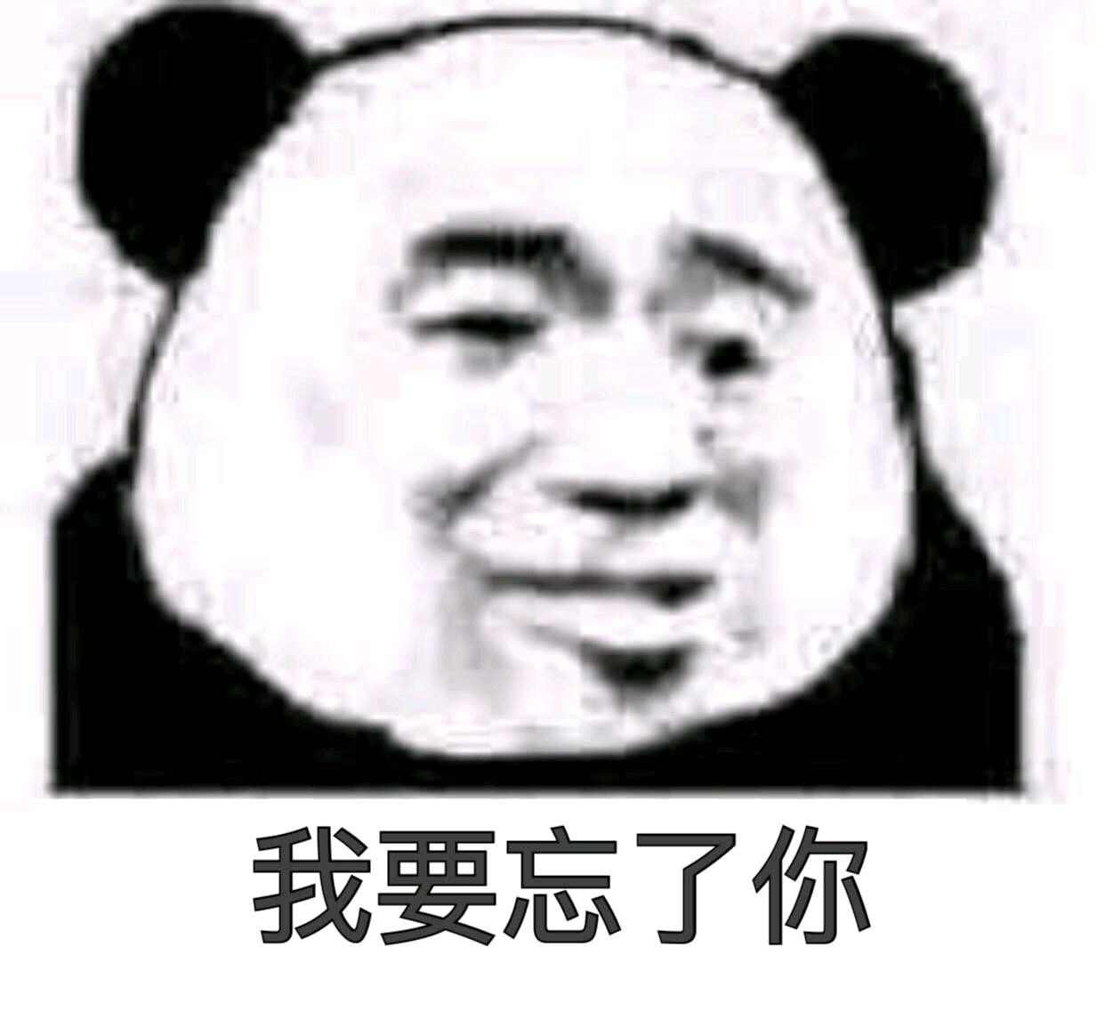 熊猫与爱情-我要忘了你