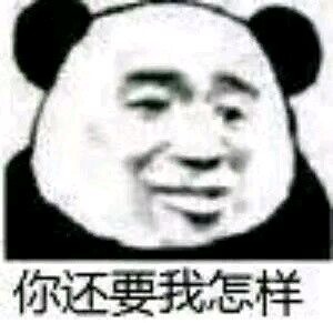 熊猫与爱情-你还要我怎么样