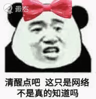 熊猫与爱情-清醒点吧 这只是网络 不是真的知道吗