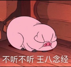 摇摇猪表情包3 -