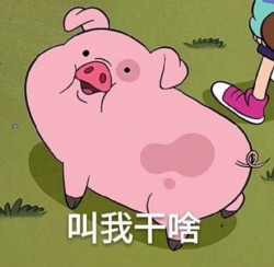 摇摇猪表情包2 -