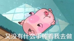 摇摇猪表情包13-