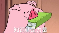 摇摇猪表情包12-