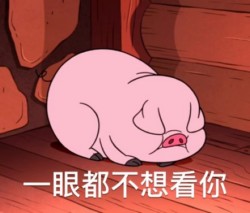 摇摇猪表情包11-