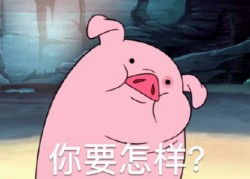 摇摇猪表情包10-