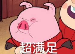 摇摇猪表情包16-