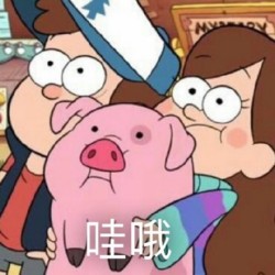 摇摇猪表情包5 -
