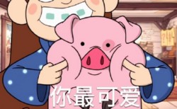 摇摇猪表情包19-