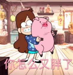摇摇猪表情包21-