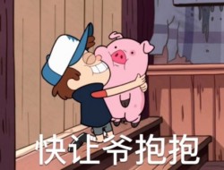 摇摇猪表情包23-