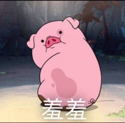 摇摇猪表情包26-